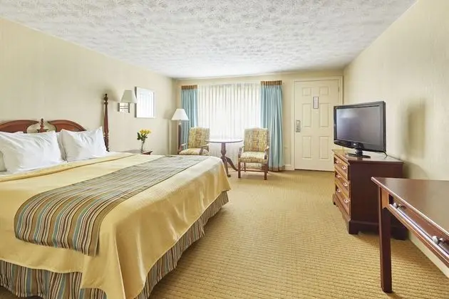 Deluxe Stüdyo, 1 En Büyük (King) Boy Yatak (Deluxe Room, King Bed)