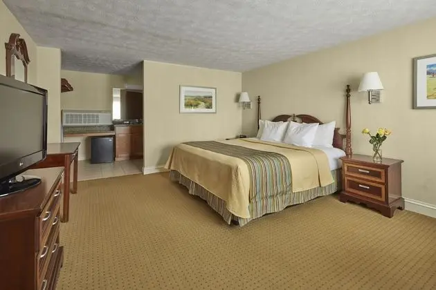 Deluxe Stüdyo, 1 En Büyük (King) Boy Yatak (Deluxe Room, King Bed)