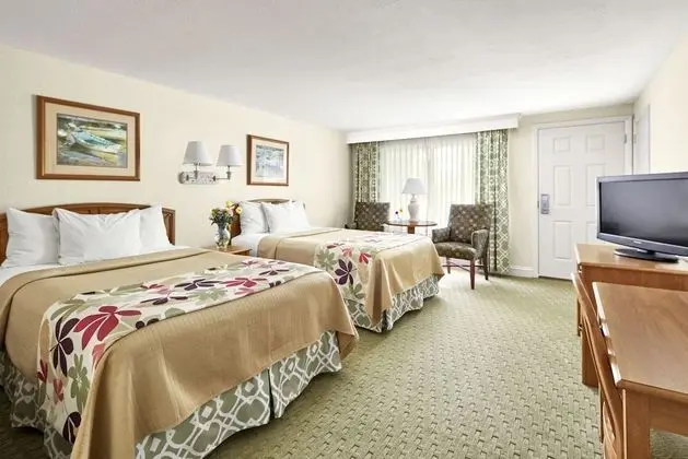 Deluxe Tek Kişilik Oda, 2 Çift Kişilik Yatak (Deluxe Room,Two Double Beds)