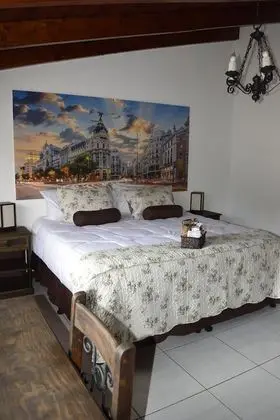 Deluxe Oda, 1 En Büyük (King) Boy Yatak, Özel Banyo (Madrid)