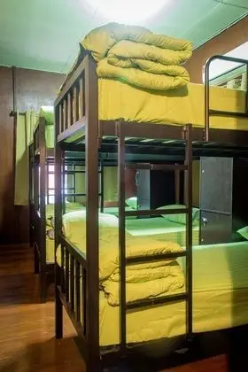 6-Bed Female Dormitory with Air-conditioner