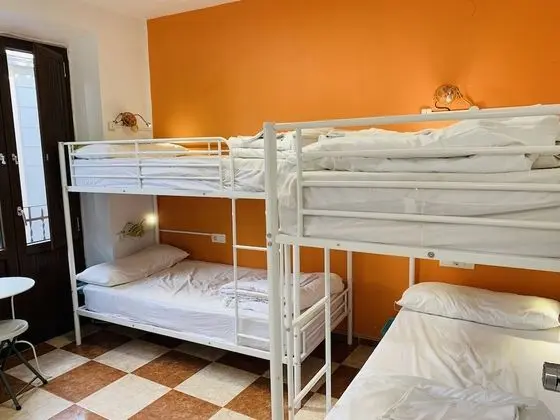 Standard Ortak Ranzalı Oda, Özel Banyo (4 camas)