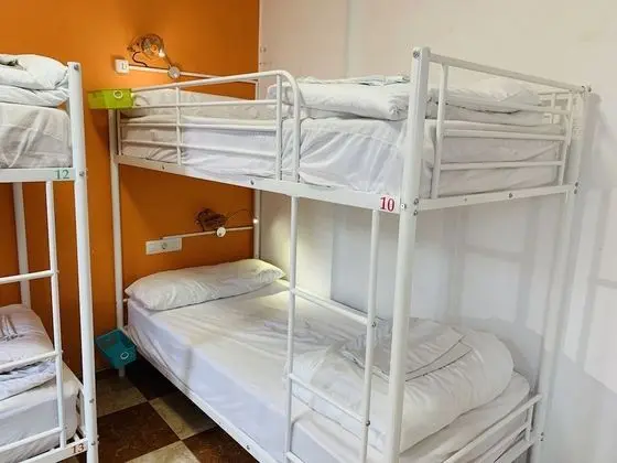 Standard Ortak Ranzalı Oda, Özel Banyo (4 camas)
