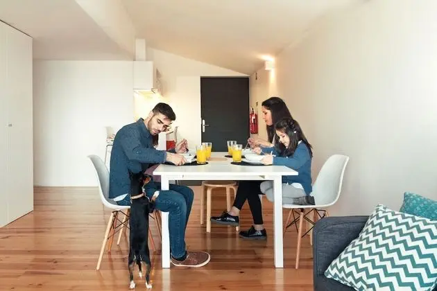 Apart Daire, 2 Yatak Odası, Balkon (D. Luís)