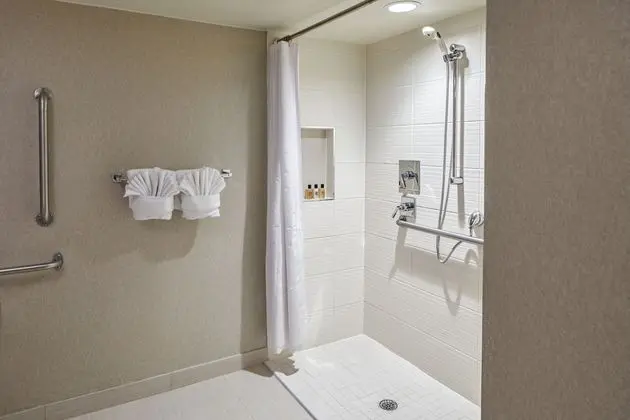 Deluxe Oda, 1 En Büyük (King) Boy Yatak, Engellilere Uygun (Shower)