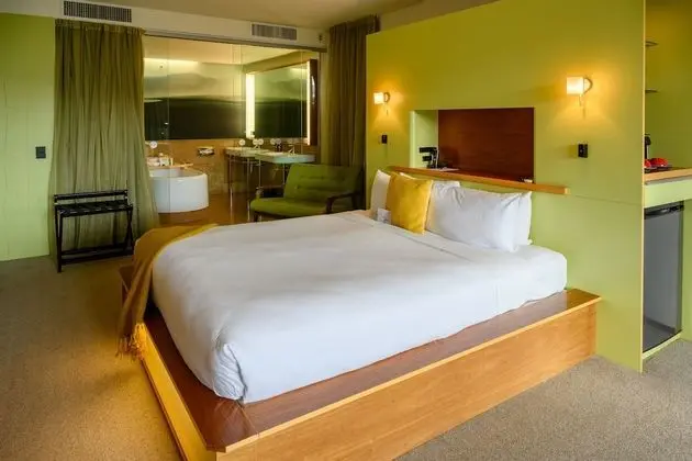 Premium Tek Büyük Yataklı Oda, 1 En Büyük (King) Boy Yatak, Balkon, Şehir Manzaralı