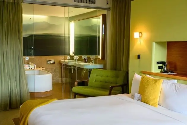 Premium Tek Büyük Yataklı Oda, 1 En Büyük (King) Boy Yatak, Balkon, Şehir Manzaralı