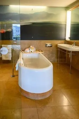 Premium Tek Büyük Yataklı Oda, 1 En Büyük (King) Boy Yatak, Balkon, Şehir Manzaralı