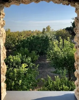 Süit, 1 Büyük (Queen) Boy Yatak, Bahçe Manzaralı