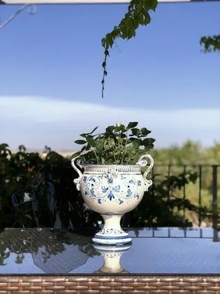 Superior Tek Büyük Yataklı Oda, 1 Tek Kişilik XL Yatak, Bahçe Manzaralı