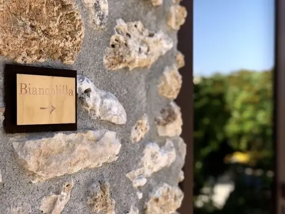 Superior Tek Büyük Yataklı Oda, 1 Tek Kişilik XL Yatak, Bahçe Manzaralı