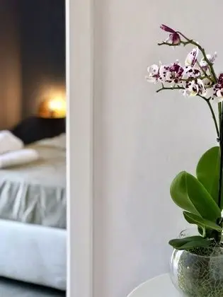 Superior Tek Büyük Yataklı Oda, 1 Tek Kişilik XL Yatak, Bahçe Manzaralı