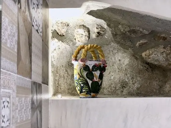 Superior Tek Büyük Yataklı Oda, 1 Tek Kişilik XL Yatak, Bahçe Manzaralı