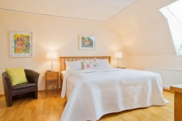 Deluxe Oda, 1 En Büyük (King) Boy Yatak, Sigara İçilmez