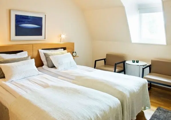 Deluxe Oda, 1 En Büyük (King) Boy Yatak, Sigara İçilmez