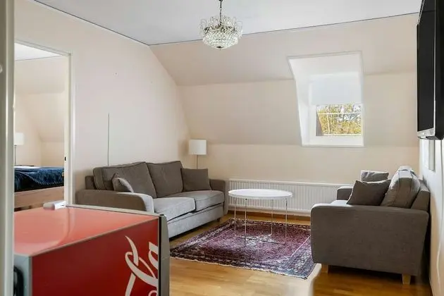 Deluxe Oda, 1 En Büyük (King) Boy Yatak, Sigara İçilmez