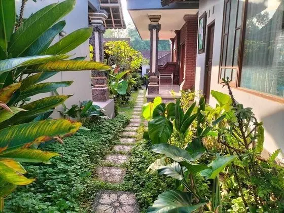 Premium Oda