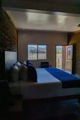 Deluxe Tek Kişilik Oda, 1 En Büyük (King) Boy Yatak, Üzüm Asması Manzaralı