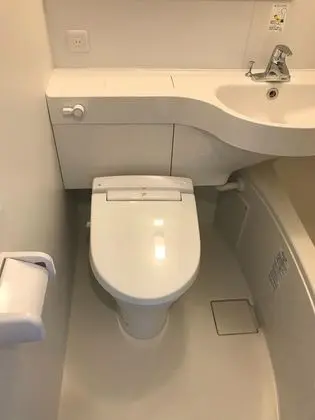 Standard Oda (Semi-double)