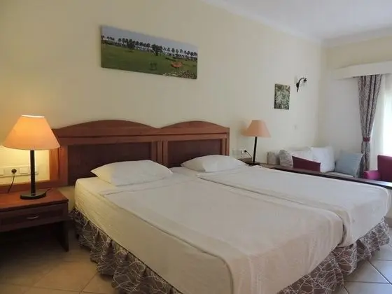 Standart Oda, Bahçe Manzaralı