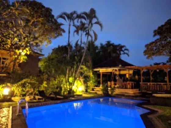 Tek Büyük veya İki Ayrı Yataklı Oda, 1 Yatak Odası, Bahçe Manzaralı, Havuz Kenarı