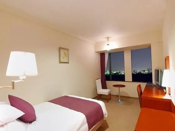Deluxe Tek Kişilik Oda, 1 Tek Kişilik Yatak, Sigara İçilmez