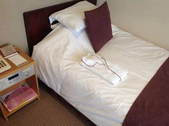 Deluxe Tek Kişilik Oda, 1 Tek Kişilik Yatak, Sigara İçilmez