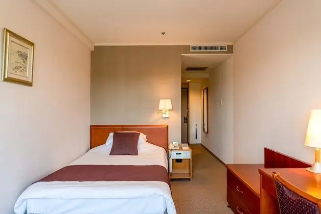 Deluxe Tek Kişilik Oda, 1 Tek Kişilik Yatak, Sigara İçilmez