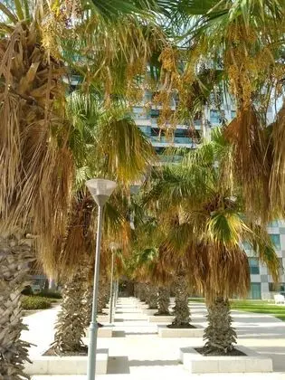 Business Apart Daire, 3 Yatak Odası, Havuz Kullanımı, Bahçeli