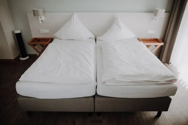 Standard Tek Büyük Yataklı Oda, 1 En Büyük (King) Boy Yatak