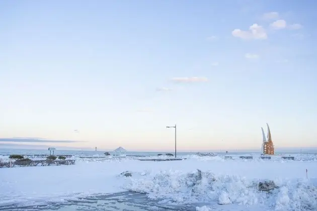 Comfort Kır Evi, Sigara İçilmez (Dog Friendly)