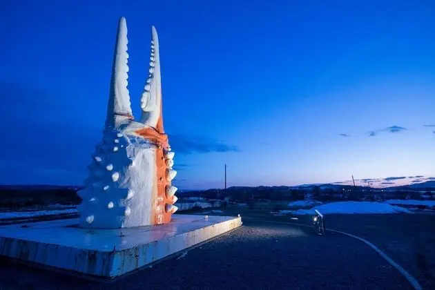 Comfort Kır Evi, Sigara İçilmez (Dog Friendly)