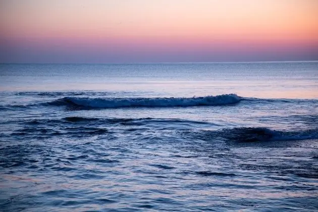 Comfort Kır Evi, Sigara İçilmez (Dog Friendly)