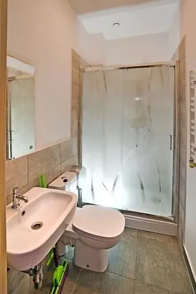 Standard Tek Büyük Yataklı Oda, 1 Çift Kişilik Yatak