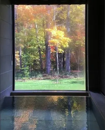 Deluxe Oda, Sigara İçilmez, Özel Banyo (JapaneseSuite, Hotspring, Kurenai)