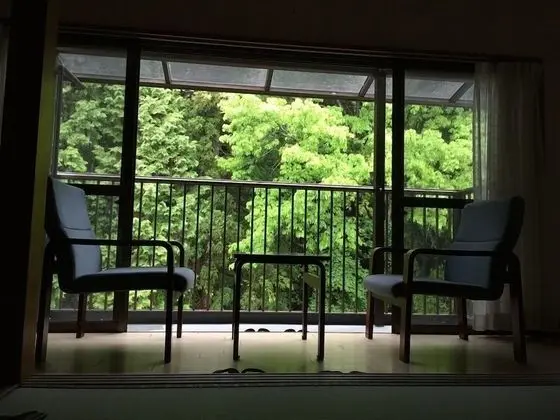 Japanese Tatami Room, Non-smoking (Customer cannot check-in after 9pm)  No Restaurant around Hotel.