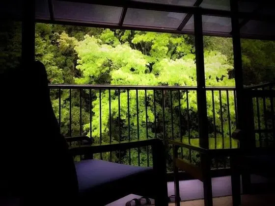 Japanese Tatami Room, Non-smoking (Customer cannot check-in after 9pm)  No Restaurant around Hotel.