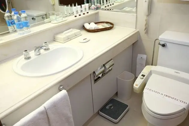 Superior Tek Büyük Yataklı Oda