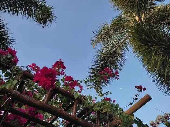 Üç Kişilik Oda, Sigara İçilmez, Bahçe Manzaralı