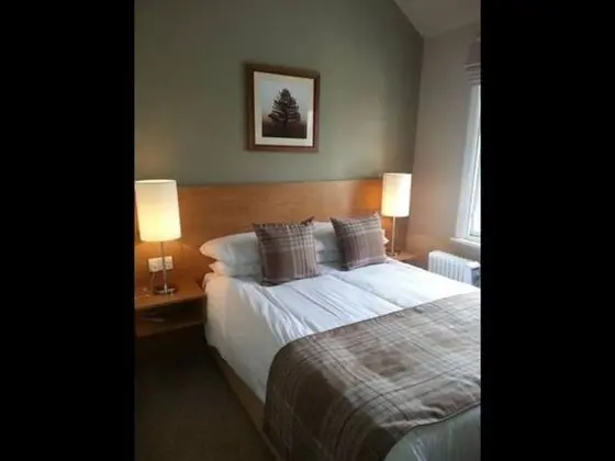 Comfort Tek Büyük Yataklı Oda, 1 Çift Kişilik Yatak