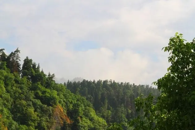 Standard Üç Kişilik Oda