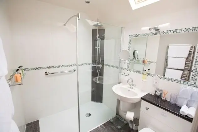 Superior Tek Büyük Yataklı Oda, Banyolu/Duşlu (Courtyard - Ground Floor)