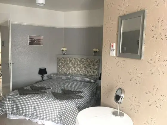 Standard Tek Büyük Yataklı Oda, Banyolu/Duşlu