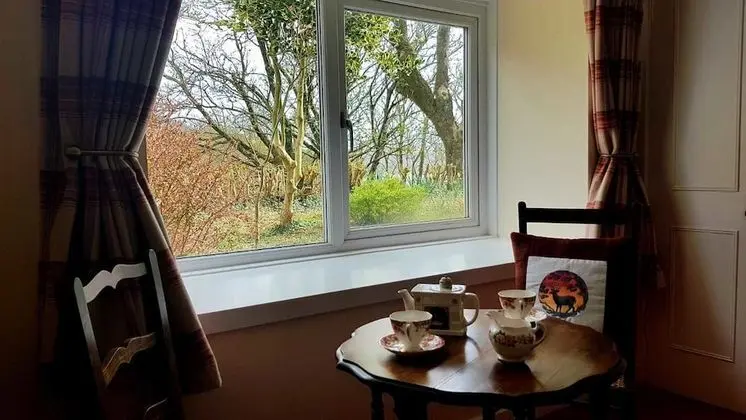 Deluxe Tek Büyük Yataklı Oda, 1 En Büyük (King) Boy Yatak, Engellilere Uygun (Islay)