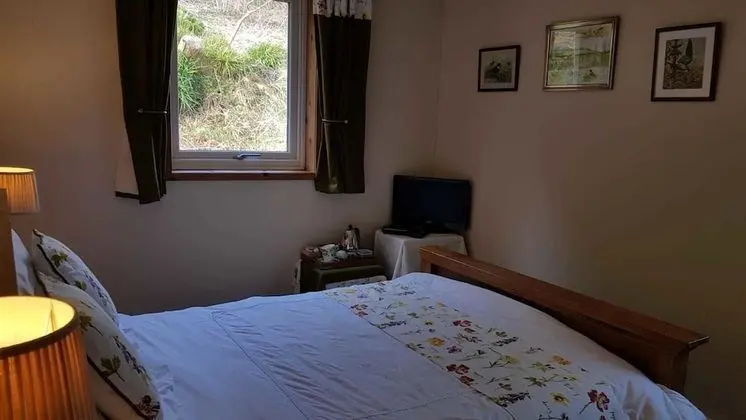 Tek Büyük Yataklı Oda, 1 Çift Kişilik Yatak, Sigara İçilmez, Bahçe Manzaralı (Shuna)