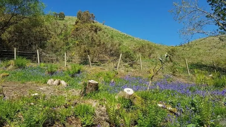 Tek Büyük Yataklı Oda, 1 Çift Kişilik Yatak, Sigara İçilmez, Bahçe Manzaralı (Shuna)