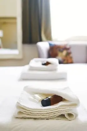 Superior Tek Büyük Yataklı Oda