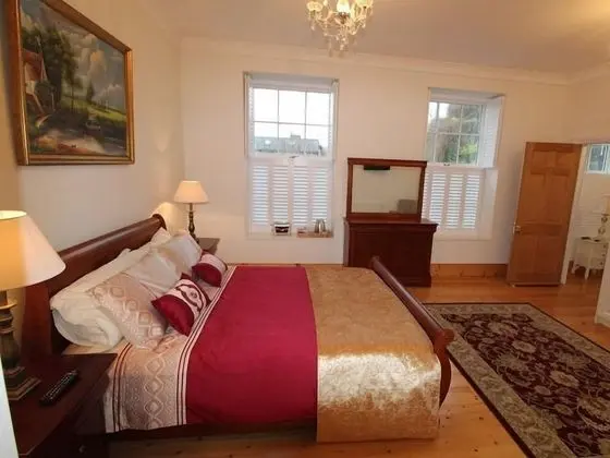 Premium Tek Büyük Yataklı Oda, Banyolu/Duşlu (Room 1 )