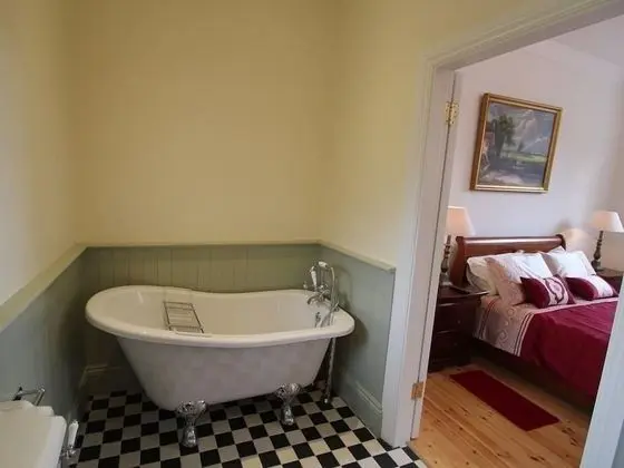 Premium Tek Büyük Yataklı Oda, Banyolu/Duşlu (Room 1 )