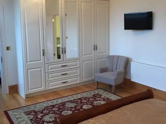Premium Tek Büyük Yataklı Oda, Banyolu/Duşlu (Room 1 )